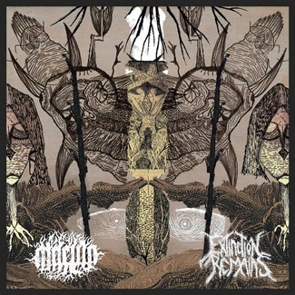 MACULA EXTINCTION REMAINS Split CD