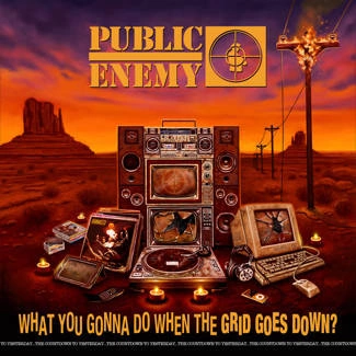 PUBLIC ENEMY What You Gonna Do When The Gird Goes Down? CD