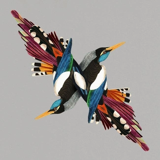 SHIRE T Tomorrow's People CD