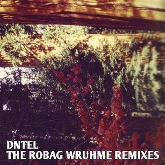 DNTEL The Robag Wruhme Remixes 12"