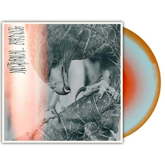 AUTHOR & PUNISHER Nocturnal Birding LP