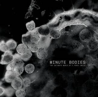TINDERSTICKS Minute Bodies... Limited Edition CD