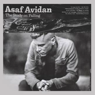 AVIDAN, ASAF The Study On Falling (pl) CD