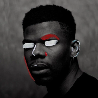 POTE A Tenuous Tale Of Her LP