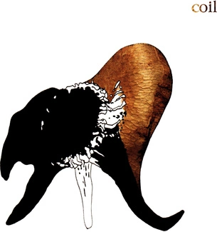 COIL Black Antlers CD