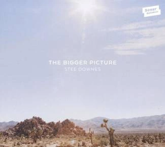 STEE DOWNES The Bigger Picture CD