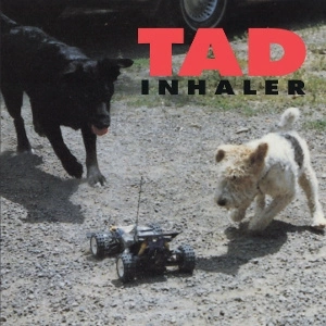TAD Inhaler CD