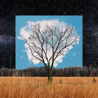 FINK Bloom Innocent CD