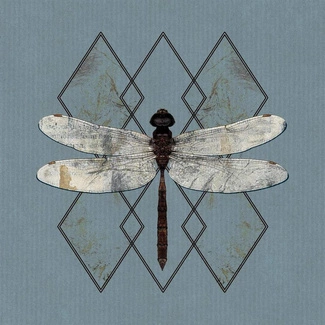 OHHMS Close CD DIGIPAK