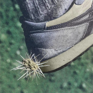 ROSS FROM FRIENDS Tread CD