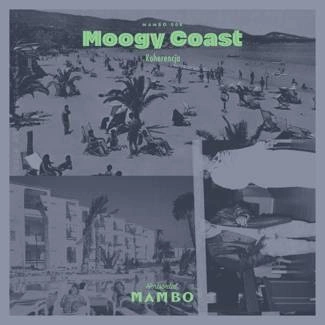 MOOGY COAST Koherencja LP