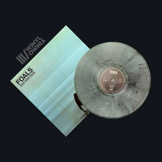 FOALS What Went Down LP