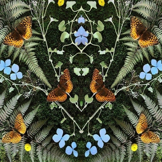 BLAIS, JEAN-MICHAEL Aubades CD