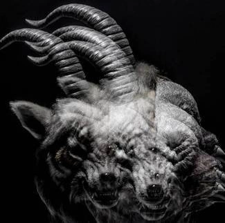 GAZETTE, THE Beautiful Deformity CD
