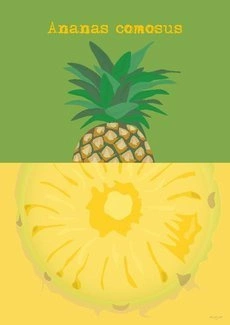 Ananas PLAKAT
