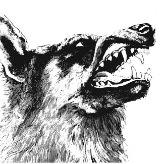 CRIPPLED BLACK PHOENIX I Vigilante BLACK LP