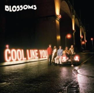 BLOSSOMS Cool Like You CD