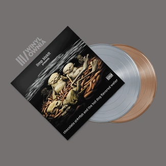 LIMP BIZKIT Chocolate Starfish And The Hot Dog Flavored Water 2LP GRAY / BROWN