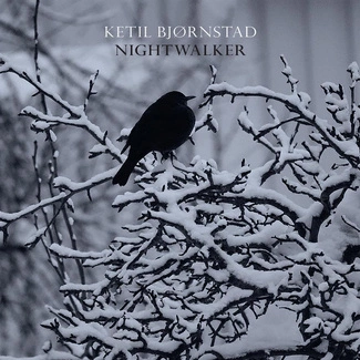 BJORNSTAD, KETIL Nightwalker 2CD