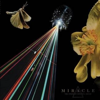 MIRACLE The Strife Of Love In A Dream CD