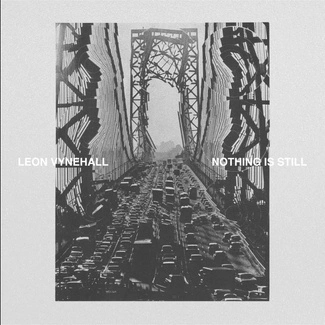 LEON VYNEHALL Nothing Is Still CD