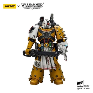 imperial Fists Action Figure Legion Apothecary 12 cm