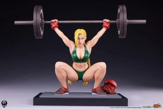 Powerlifting 41 cm