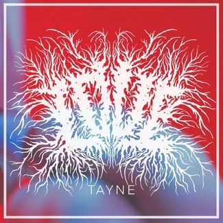 TAYNE Love CD DIGIPAK