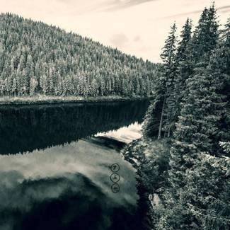 NEGURA BUNGET Tau CD DIGIPAK