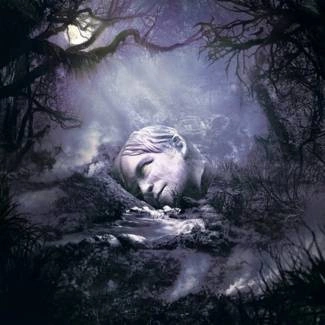 WEEZER Sznz: Autumn CD