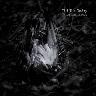 IF I DIE TODAY The Abyss In Silence
