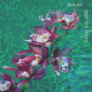 BRHYM Deep Sea Vents BLACK LP