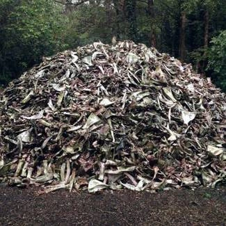 BRIQUEVILLE II CD DIGIPAK