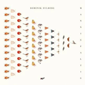 DOMINIK EULBERG Mannigfaltig 3LP