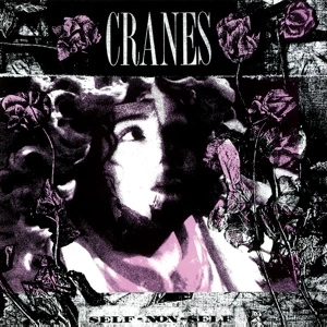 CRANES Self-non-self LP MOV
