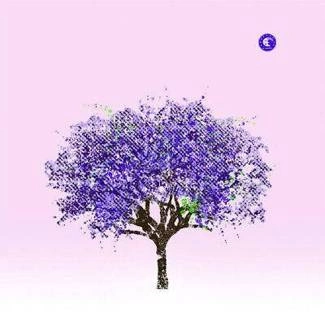 EELS Tomorrow Morning LP