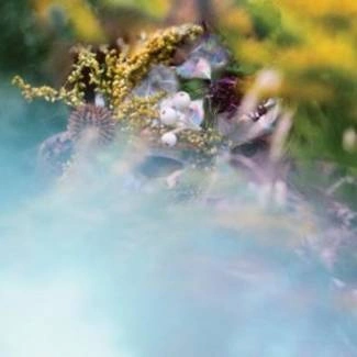 BEEDEEGEE Sum/one CD