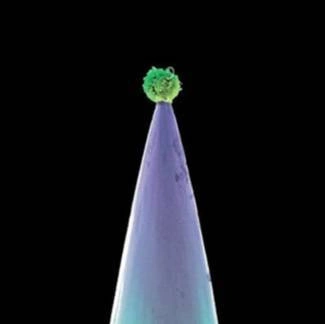 GABRIEL, PETER New Blood CD