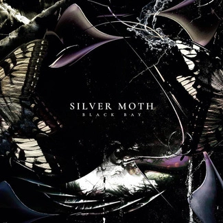 SILVER MOTH Black Bay LP