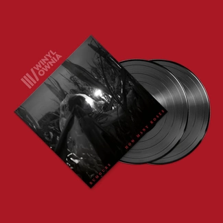 RUMOURS How Many Roses LP