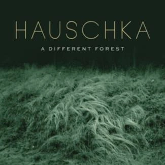 HAUSCHKA A Different Forest CD