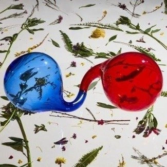 DIRTY PROJECTORS Lamp Lit Prose (LIMITED Edition Coloured Vinyl) LP