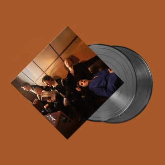 GIANT ROOKS How Have You Been? 2LP