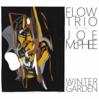 FLOW TRIO WITH JOE MCPHEE Winter Garden CD