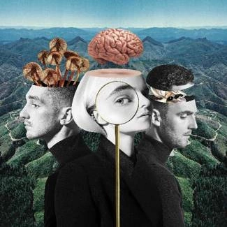 CLEAN BANDIT What Is Love? CD