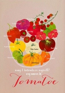 Tomatoes PLAKAT