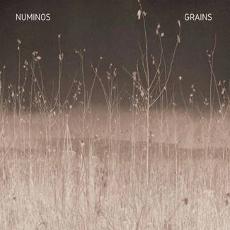 NUMINOS Grains LP