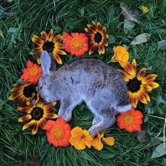 MONOLORD Your Time To Shine CD