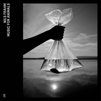 FRAHM, NILS Music For Animals 3CD