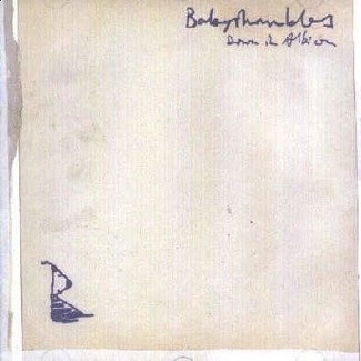 BABYSHAMBLES Down In Albion LP